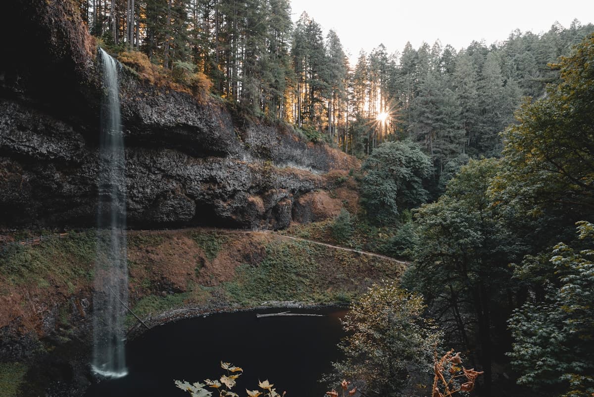 Frazier Falls: A Short Paved Waterfall Walk