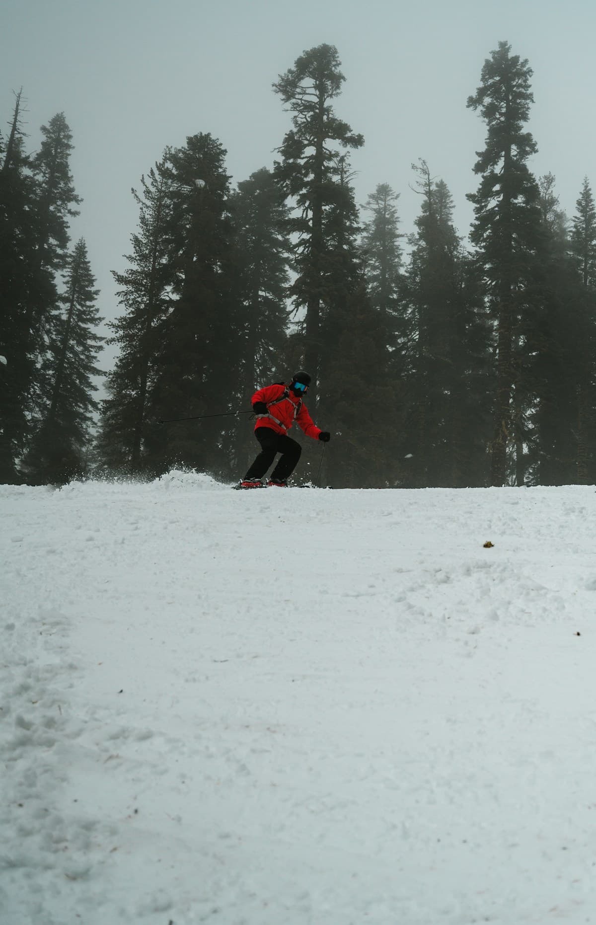 Best Ski Resorts Near Northstar — All 5 Ranked for 2026
